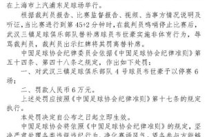 足协公布对韦世豪处罚结果：停赛6场+罚款6万元！